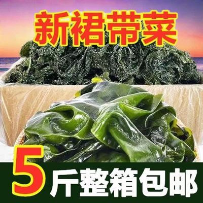 【5斤装裙带菜】海带苗海白菜火锅食材海菜海藻凉拌菜素食速食藻