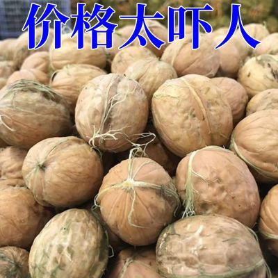 新鲜核桃2024生核桃薄皮湿核桃去青皮大果坚果正品即食无添加无糖