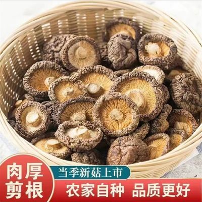 【现季新货】小个干香菇金钱菇短柄肉厚无干燥剂手工挑选产地直发