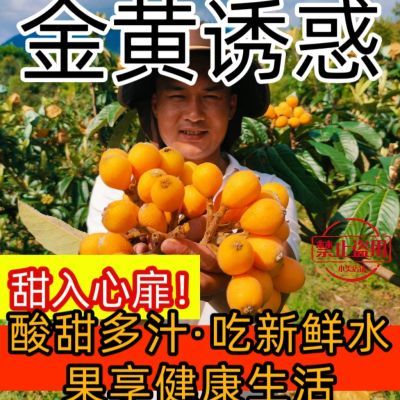 【新鲜枇杷】南方当季黄皮黄金薄皮孕妇酸甜即食枇杷鲜果琵琶水果