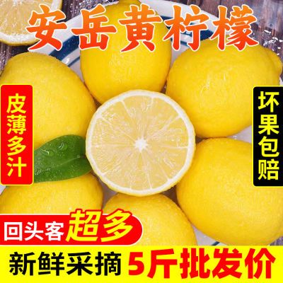 热卖抢购98w+】安岳黄柠檬新鲜应季水果头茬薄皮精选奶茶店整