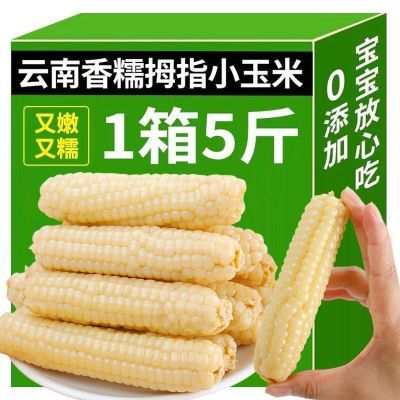 【精品】拇指玉米云南西双版纳香糯小玉米傣家甜黏玉米棒早餐代餐