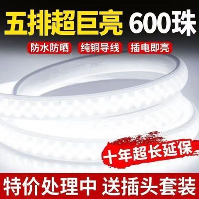 led灯带220三排超亮客厅家用整卷吊顶100户外防水