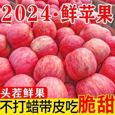 【杜绝假冒】产地陕西洛川苹果红富士水果新鲜现摘冰糖心10/5斤