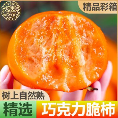 【爆甜】巧克力脆柿子阳丰脆柿净重4.6斤单果130g+新鲜水果彩箱