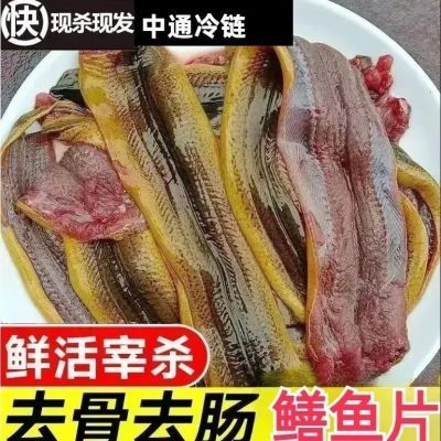 【农田捕捞】正宗黄鳝现杀去肠去骨新鲜野生黄鳝片长鱼黄鳝鲜活