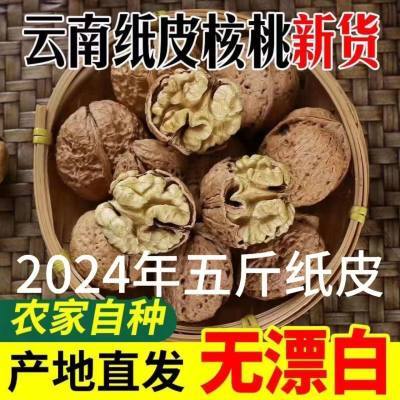 云南纸皮核桃薄壳核桃老树核桃山核桃干果孕妇用坚果零食批发