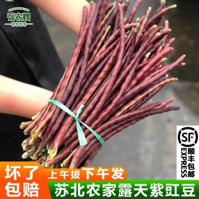 【顺丰包邮】苏北农家现摘新鲜红豇豆紫豆角紫豇豆当季乌豆角时令