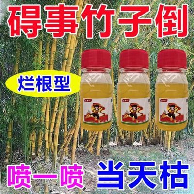 进口原料烂根剂打竹子烂竹根大竹小竹灌木杂草开荒彻底清理一扫光