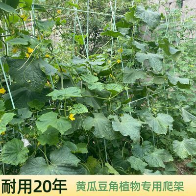 花架黄瓜豆角架种菜架子包塑钢管支架