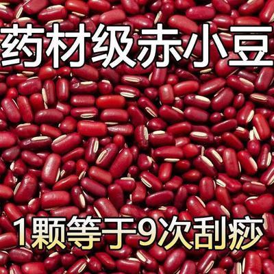 【当季新货】正宗赤小豆特级祛湿煮粥农家小赤豆类长粒红豆批发