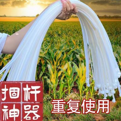 捆玉米秸秆尼龙扎带耐寒大号1.2米长用捆玉米杆塑料束线带