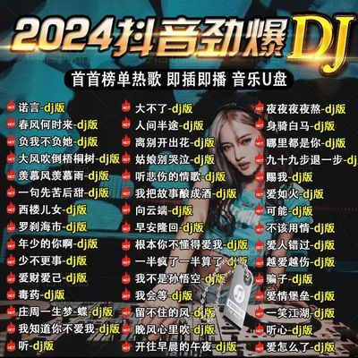 2024抖音新歌DJ网络流行热门音乐车载U盘榜单网红无损MP3/4优盘