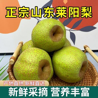 当季正宗山东莱阳梨芦儿港薄皮直发化痰脆甜整箱新鲜百年止咳青皮