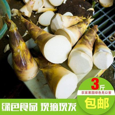 福建漳州夏季笋水果沙拉笋现挖新鲜马蹄笋脆嫩甘甜蔬菜3斤包邮