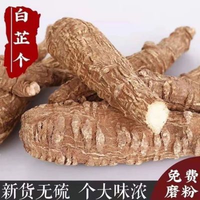 白芷个中药材批发野生无硫白芷个香料正品新货白芷片白芷粉包邮