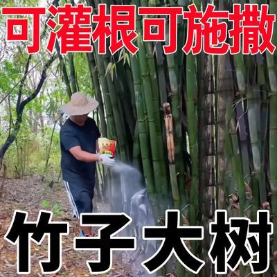 四季通用强效打竹子去竹根大竹杂竹清竹杂草灌木农用除草剂环嗪酮