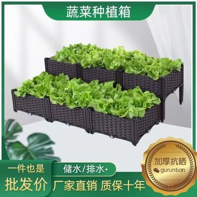 种植箱家庭阳台蔬菜专用菜盆种菜神器楼顶种菜专用箱种菜框