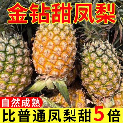 云南直发正宗云南金钻凤梨17号甜蜜蜜手撕冬蜜凤梨新鲜水果非菠