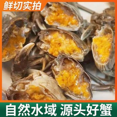 活蟹六月黄小螃蟹鲜活大闸蟹现货三元蟹海鲜水产一2/4/6/8/10一斤