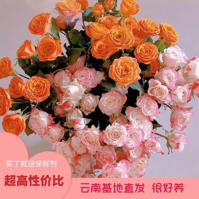 玫瑰鲜花10支（30-50个花包）元10.9花期很长，好养好看不娇贵才十几块钱 带来愉悦好心情https://p.pinduoduo.com/WsOdaOkW 