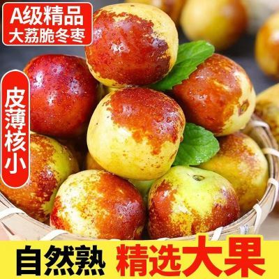 【自家果园】冬枣3/5斤红冬枣子当季脆甜整箱新鲜水果大荔甜枣