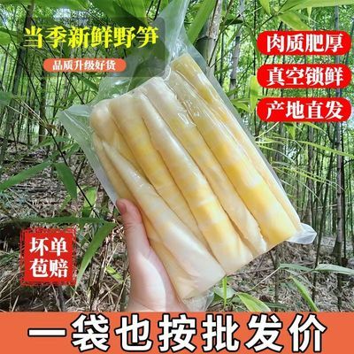 现挖新鲜竹笋火锅必备食材真空包装保鲜直达高山野生鲜嫩竹笋尖