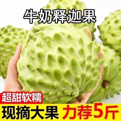 【超低价】正宗牛奶凤梨释迦果新鲜水果大果番荔枝佛头果孕妇水果