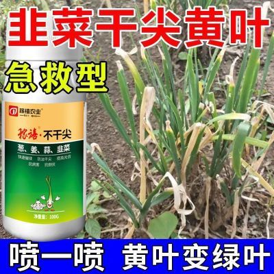 韭菜干尖黄叶急救韭菜大葱专用药黄叶干尖变绿增产抗病抗虫浓缩剂