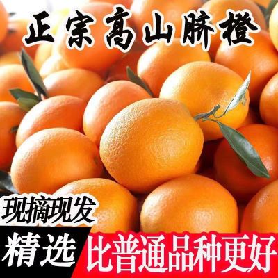 正宗赣南早脐橙新鲜当季水果现摘纽荷尔整箱批发