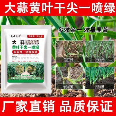 亮威大蒜专用大蒜黄叶干尖叶枯紫斑锈病专用套装有机质肥料