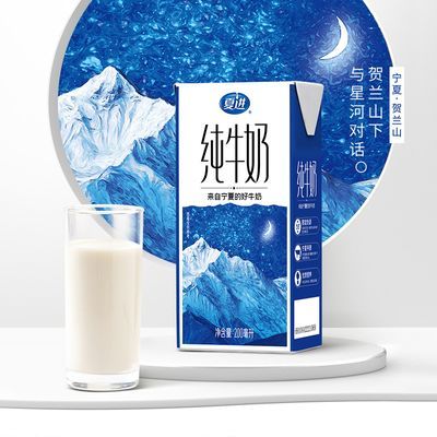 夏进纯牛奶宁夏奶源200ml*10盒/4箱营养早餐奶WK