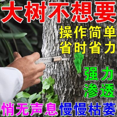 毁大树当日枯大树根腐根剂活树变枯树坏树液让大树一针就到强效