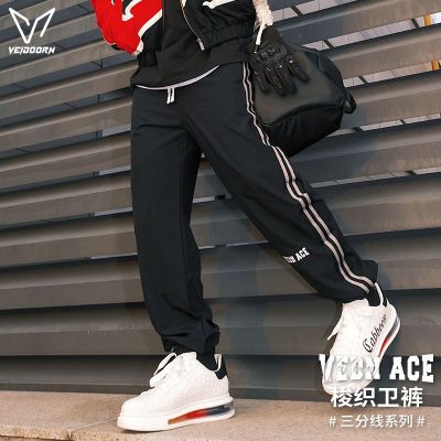 ڲά˶ٸʽſ֯п38.9Ԫ