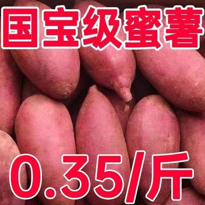 【沙地鲜挖】正宗蜜薯新鲜黄心板栗番薯沙地红薯地瓜蔬菜农家自种