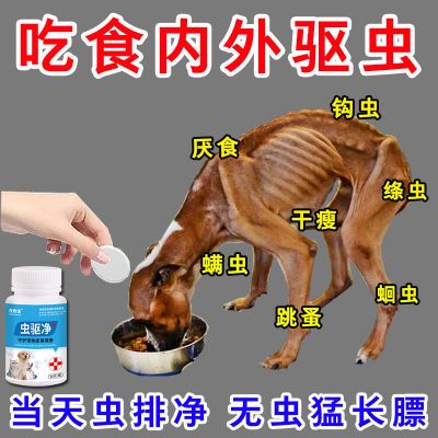 宠物驱虫药驱猫狗厌食不吸收驱虫寄生蛔虫钩虫内外同驱猫狗通用