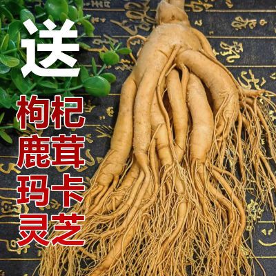 【长白山人参鲜参】东北特产 泡酒煲汤材料保鲜人参 吉林直发