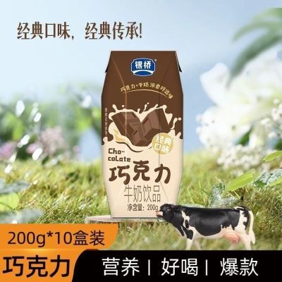 陕西西安银桥牛奶专卖整箱10盒装巧克力味牛奶饮品常温含乳饮料