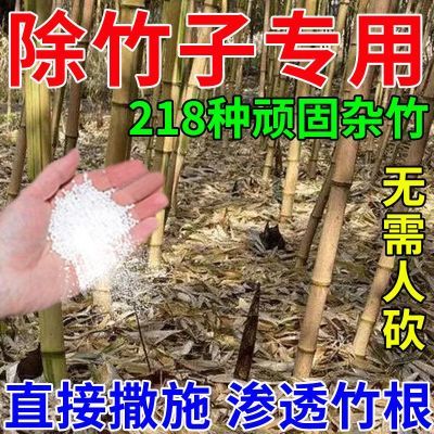 强效打竹子去竹根大竹杂竹清竹杂草灌木农用除草剂四季通用环嗪酮