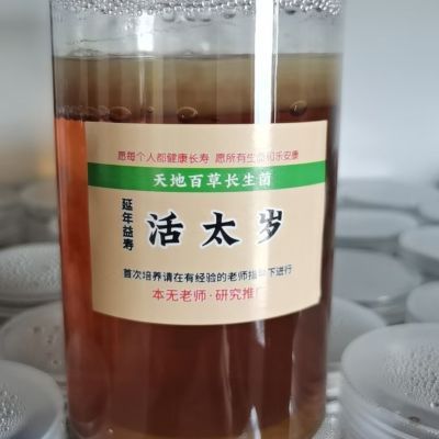 先送后买不上当带罐带工具包养活能延年益寿活太岁不是红茶菌培养