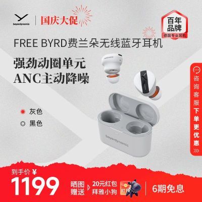 ڲBeyerdynamic/ŷFree ByrdʽǶ 1107Ԫ