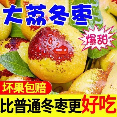 陕西大荔100%冬枣新鲜甜枣脆甜当季枣子现摘现发精品大枣鲜枣