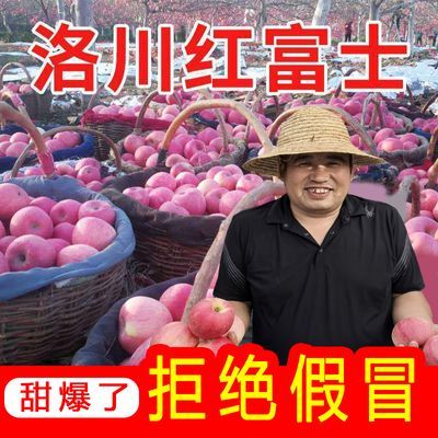 【杜绝假冒】产地发货陕西洛川苹果红富士水果新鲜现摘冰糖心包邮