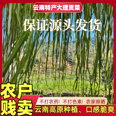 云南高原当季贡菜苔菜海底捞烫专用农家晾晒火锅搭档无添加包邮