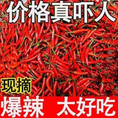 鲜椒小米辣新鲜无水优质现摘香辣椒朝天清仓大个椒特辣辣椒现货