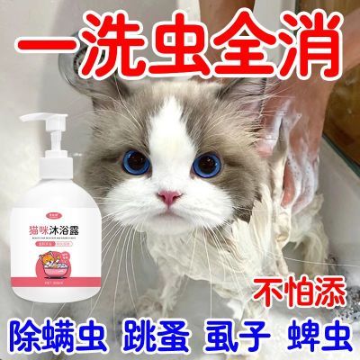 留香20天】猫咪专用沐浴露洗护二合一灭菌除螨虱护毛素幼猫沐浴