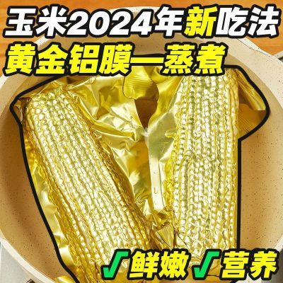 【2024年新玉米】东北黄金铝箔黄糯玉米低脂正宗苞米当季