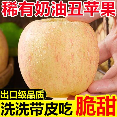 稀有奶油丑苹果脆甜应季烟台苹果栖霞富士新鲜苹果水果批发一整箱