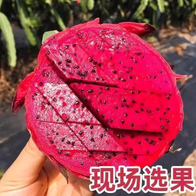 (批发价)金都一号广西红心红肉火龙果当季新鲜水果整箱大果5斤装