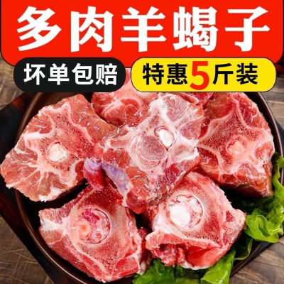 内蒙羔羊多肉羊蝎子新鲜多肉羔羊羊蝎子羊肉整根架骨原切送料包批